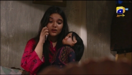 Guddi - Episode 53 - 10th February 2025